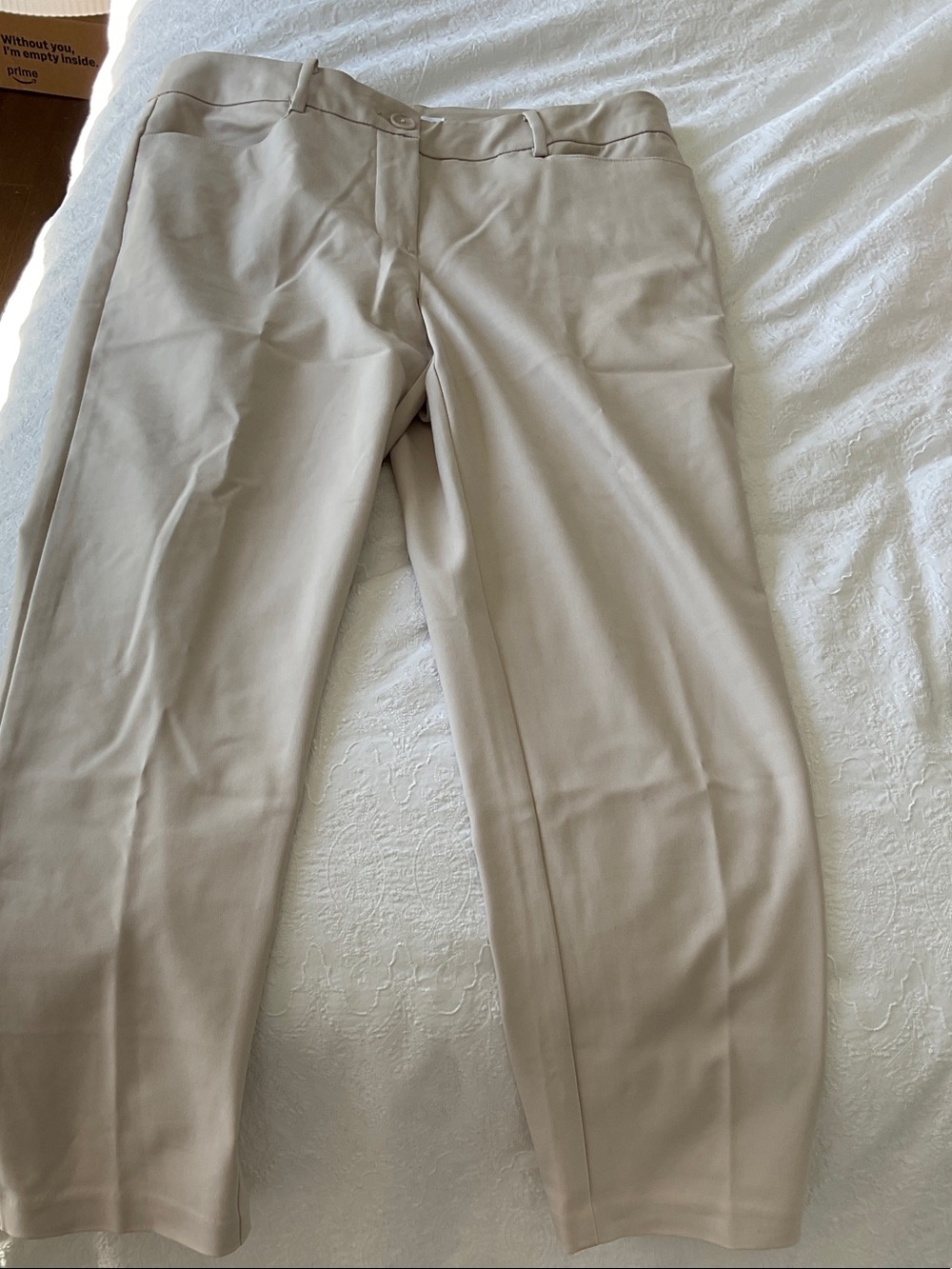 Women’s Slim Dress Pants in Light Beige